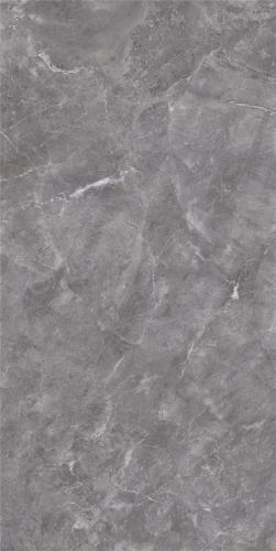 LT918017-02