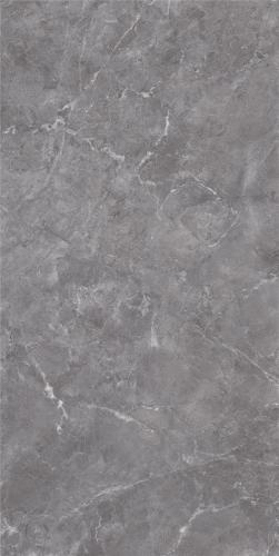 LT918017-04