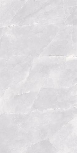 LT918013-04