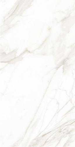 YH7536-1c