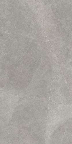 SY7515008A.4