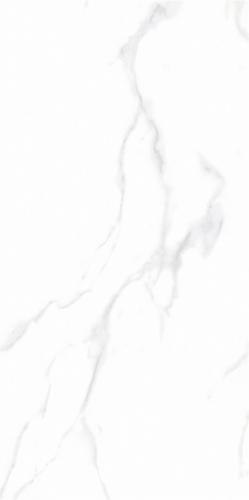 SY7515001A.3